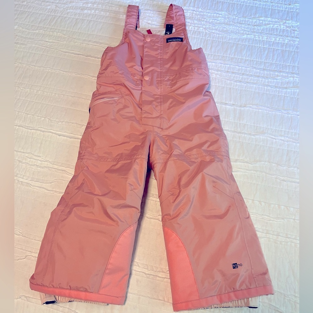 Patagonia H2no snow bib